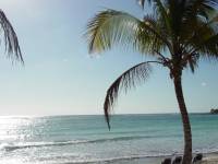 playa49 